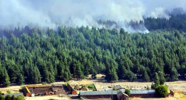 Пожар в Усть-Донецком районе Ростовской области 
Фото:  http://bloknot-rostov.ru/news/tysyacha-chelovek-pytaetsya-usmirit-kolossalnyy-pr-875141?sphrase_id=349344