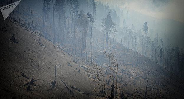 Последствия пожара в Боржоми. Фото © Sputnik/ STRINGER
https://sputnik-georgia.ru/columnists/20170824/237072641/Dobroe-utro-24-avgusta-Vnimanie-Gruzija-v-ogne.html