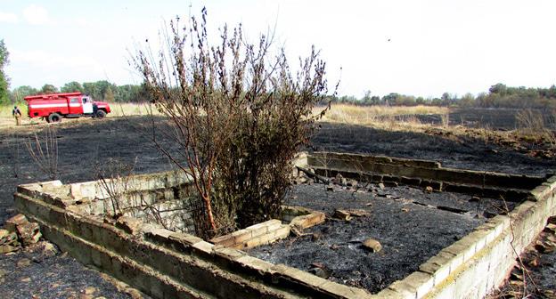 Последствия ландшафтного пожара на границе с хутором Вязовка. Волгоградская область, август 2017 г. Фото Вячеслава Ященко для "Кавказского узла"