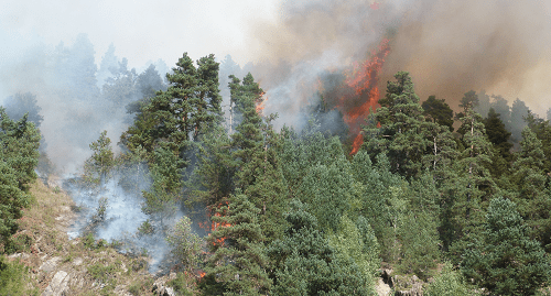 Пожар в лесу на склоне горы в Тляратинском районе Дагестана, 24 августа 2017 г. Фото: мо-тлярата.рф/pozhar-v-rayone-polnostyu-poka-ne-lokalizovan