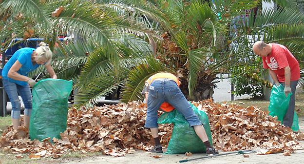 Сбор листьев с газонов и упаковка их в мешки как мусор в сквере Конституции напротив Центральной поликлиники № 1. Фото Светланы Кравченко для "Кавказского узла"