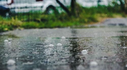 Ливень и град. Фото Елены Синеок, Юга.ру