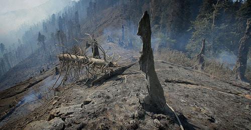 Лесной пожар. Фото https://ru.armeniasputnik.am