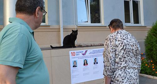 На избирательном участке,  Сочи, 10 сентября 2017 г. Фото Светланы Кравченко для "Кавказского узла"