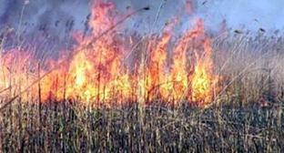Пожар в степи. Фото http://34.mchs.gov.ru/pressroom/news/item/5565125