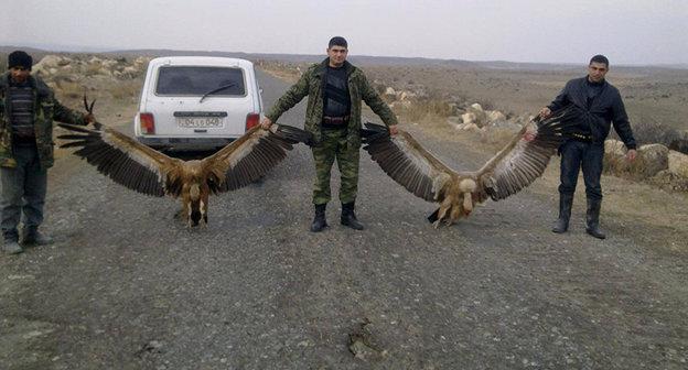 Охотники с убитыми белоголовыми сипами. Фото https://econews.am/?p=9193&l=am