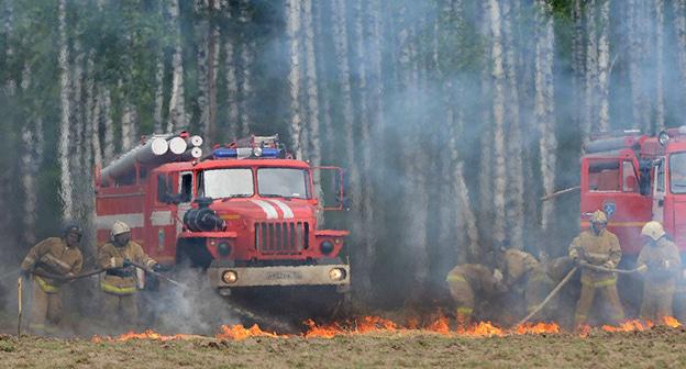Тушение лесного пожара. Фото: © Sputnik / Григорий Сысоев