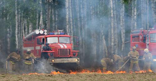 Тушение лесного пожара. Фото: © Sputnik / Григорий Сысоев