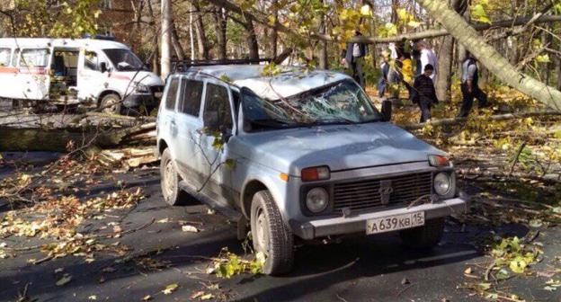 Последствия сильного ветра во Владикавказе. Фото https://vk.com/public72749677?z=photo-72749677_456258969%2Fwall-72749677_507851