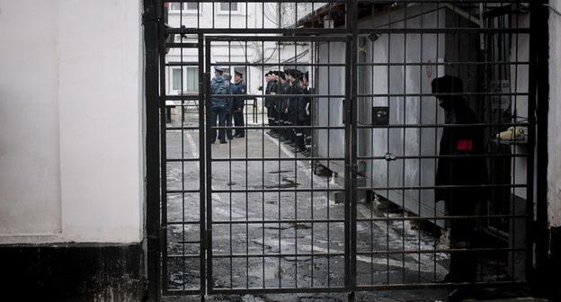 Колония. Фото: Геннадий Аносов / Югополис