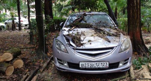 Машина на зеленой зоне пострадала от урагана в Сочи 30 октября. Фото Светланы Кравченко для "Кавказского узла"