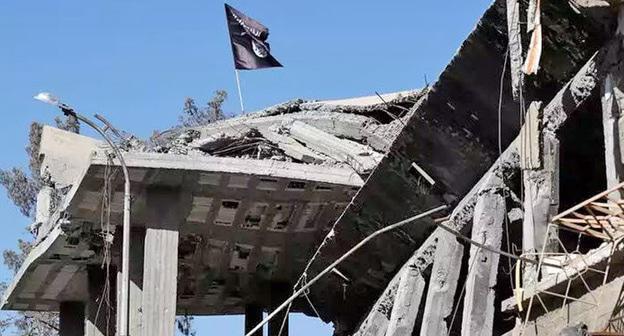 Война в Сирии. Фото: REUTERS/Erik De Castro