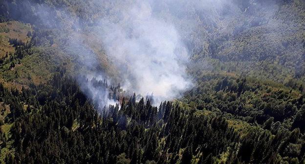 Тушение лесного пожара. Фото https://sputnik-georgia.ru