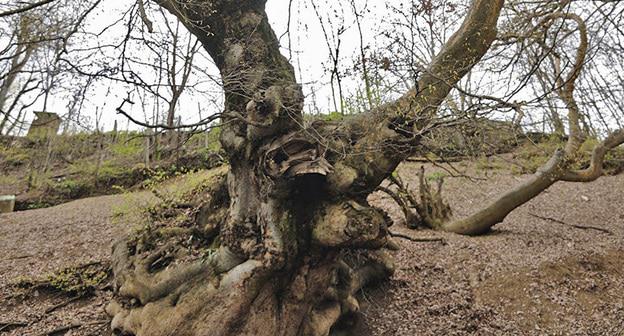 На линии соприкосновения в Нагорном Карабахе. Фото © Sputnik/ Asatur Yesayants
