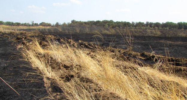 Последствия пожара в Волгоградской области. Август 2017 г. Фото Вячеслава Ященко для "Кавказского узла"