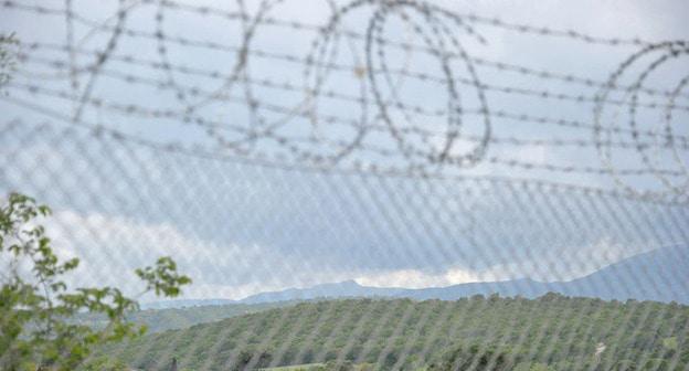 Колючая проволока на границе. Фото © Sputnik / Dmitry Vinogradov
