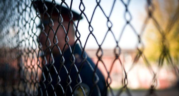 Колония. Фото: Елена Синеок, ЮГА.ру