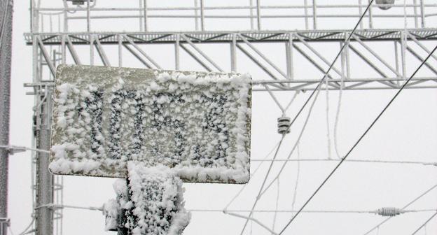 Изморозь в Волгограде. Фото Вячеслава Ященко для "Кавказского узла"