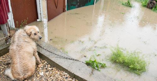 Паводок в Адыгее. Фото Антона Подгайко, "Юга.ру"