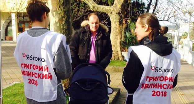 Члены партии "Яблоко" во время пикета в Сочи. Фото Светланы Кравченко для "Кавказского узла"
