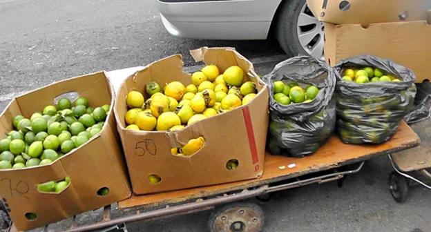 Продажа цитрусовых на российско-абхазской границе. Фото Анны Грицевич для "Кавказского узла"
