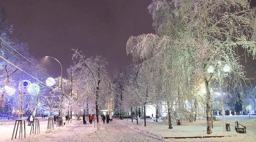 Мокрый снег на Кубани. Фото  Фото Михаила Ступина, Юга.ру https://www.yuga.ru/news/424203/