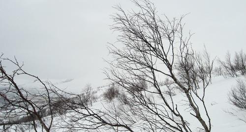 Заснеженный склон горы в пасмурную погоду. Фото Нины Тумановой для "Кавказского узла"