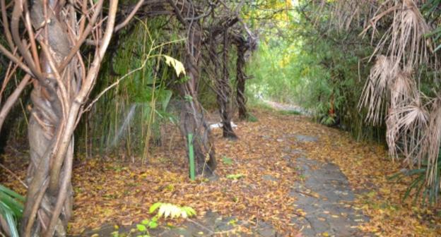 "Зеленый уголок" в районе ресторана "1.3.7", Сочи. Фото: Светлана Кравченко для "Кавказского узла". 