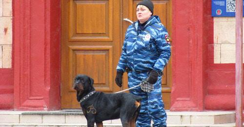 Сотрудница кинологической службы полиции с собакой в Волгограде. Фото Вячеслава Ященко для "Кавказского узла"