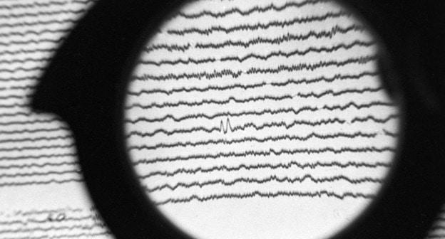 Сейсмограмма. Фото: Sputnik/G. Koposov