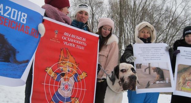 Пикет в защиту бездомных животных в Ростове-на-Дону. 24 февраля 2018 года. Фото Константина Волгина для "Кавказского узла"