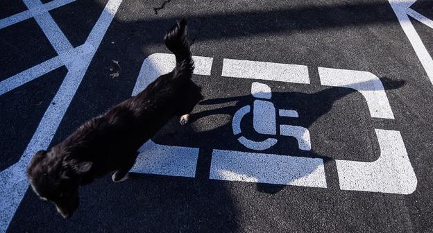 Знак на дороге.  © Фото Елены Синеок, Юга.ру
