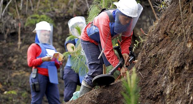 Работа саперов The HALO Trust. Фото: REUTERS/Fredy Builes 