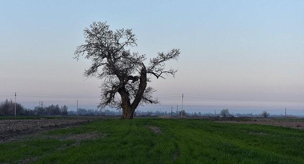 Евлахский район Азербайджана. Фото © Sputnik / Murad Orujov

https://ru.sputnik.az/life/20170301/409175949/pogoda-azerbajdzhan-mart-baku-sinoptiki.html
