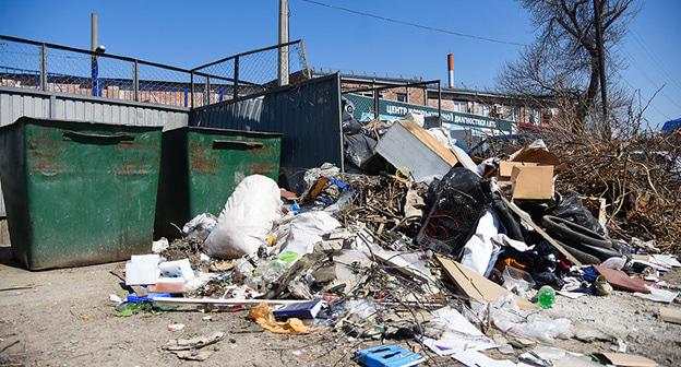 Мусор. © Фото Елены Синеок, Юга.ру