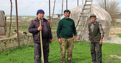 Квемо Картли — один из самых зажиточных регионов Грузии. Трудолюбивые азербайджанцы выращивают здесь овощи, фрукты, зелень, занимаются скотоводством. Фото: Давид Пипиа,  JAMnews