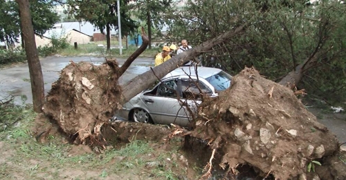 Упавшие деревья повредили автомобиль.Степанакерт, 17 июня 2018 год. Фото Алвард Григорян для "Кавказского узла".