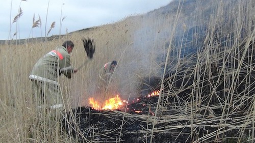 Ликвидация пожара в степи. Фото http://26.mchs.gov.ru/operationalpage/operational/item/7074487/
