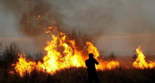 Ландшафтный пожар. Фото: Михаил Ступин / Югополис