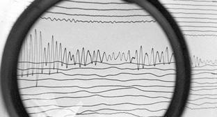 Сейсмограмма землетрясения. © Sputnik/ G. Koposov https://sputnik-georgia.ru/georgia/20170509/235907069/Zemletrjasenie-proizoshlo-na-vostoke-Gruzii.html