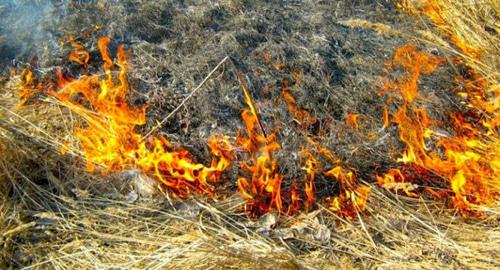 Пламя на траве. Фото http://06.mchs.gov.ru/operationalpage/operational
