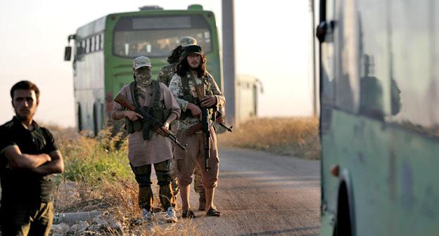 Война в Сирии. Фото: REUTERS/Khalil Ashawi
