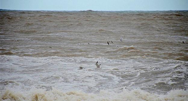 Шторм на Черном море. Фото © Sputnik / Seyran Baroyan
 https://sputnik-georgia.ru/incidents/20180804/241612917/Vnimanie-otdyhajushhie-Kupatsja-v-more-na-poberezhe-Gruzii-zapreshheno.html