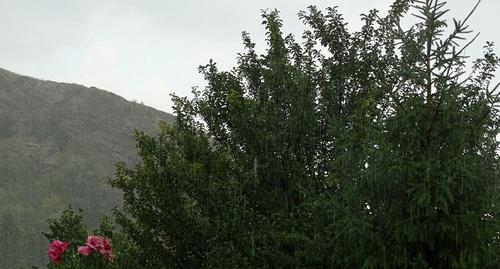 Дождь. Фото Нины Тумановой для "Кавказского узла"