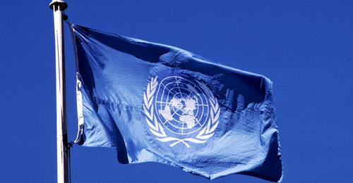 Флаг с эмблемой Комитета против пыток ООН. Фото: Пресс-служба Комитета против пыток http://www.pytkam.net