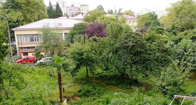 Зеленая зона на улице Донская. Сочи. Фото Светланы Кравченко для "Кавказского узла"