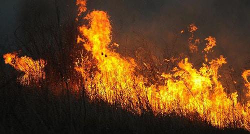 Ландшафтный пожар. Фото: Михаил Ступин / Югополис