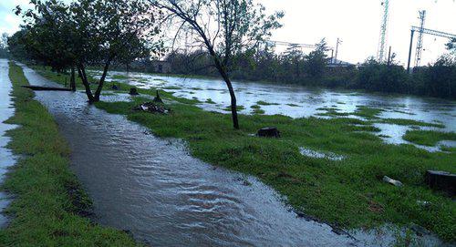 Наводнение в Ланчхутском районе Грузии. Фото FB / Lanchkhuti City Hall