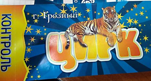 Билет в цирк в Грозном. Фото: корреспондент "Кавказского узла",