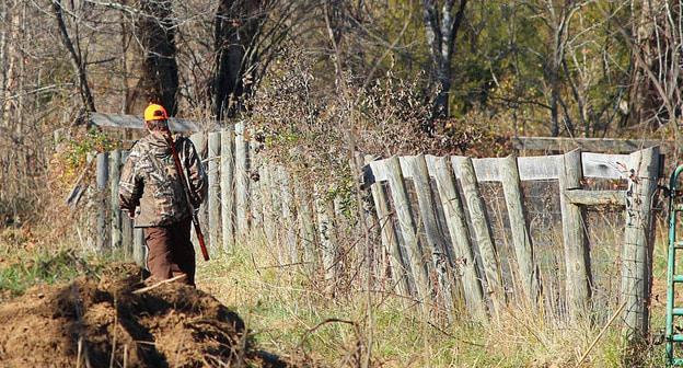 Охотник в лесу. Фото 
JamesDeMers https://pixabay.com/